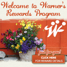 Warner's Rewards Program