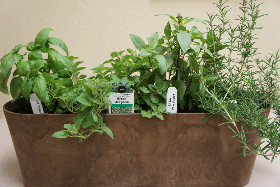 Container Herb Warner Companies Inc