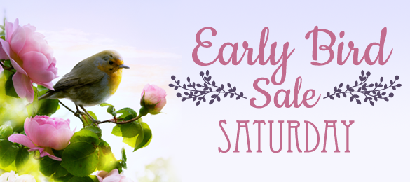 Early Bird Sale graphic with bird on branch