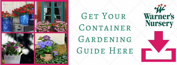 Container Gardening Landing Page Warner Companies Inc
