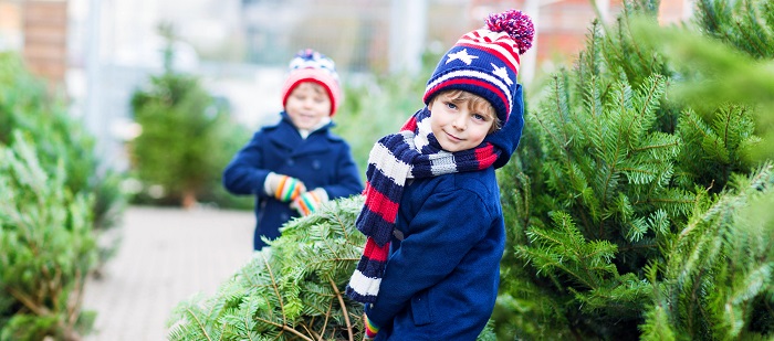 two little boys purchasing christmas tree