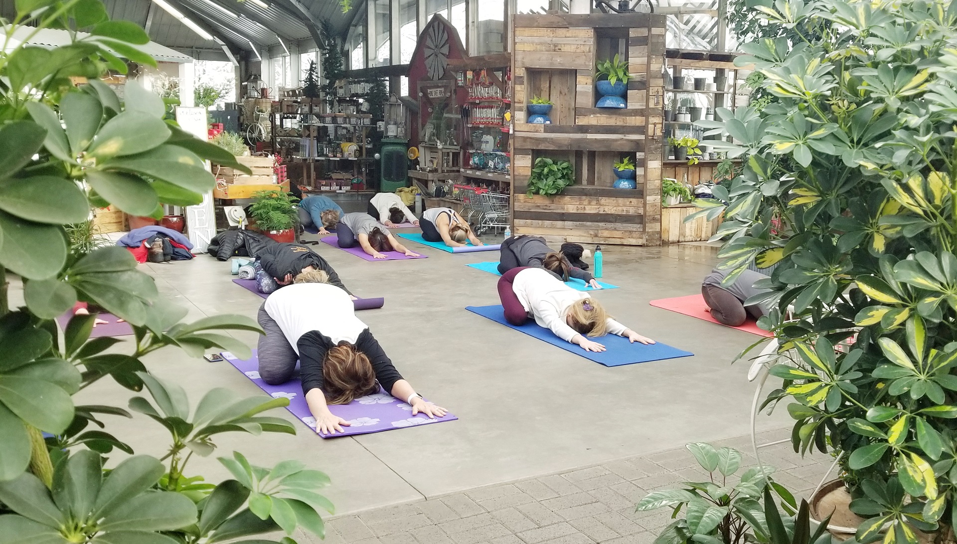 People practicing yoga at Warner's Nursery