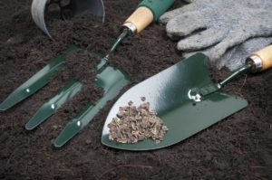 gardening soil and tools