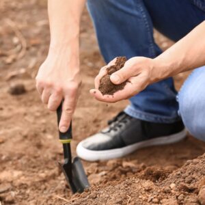 Person testing soil